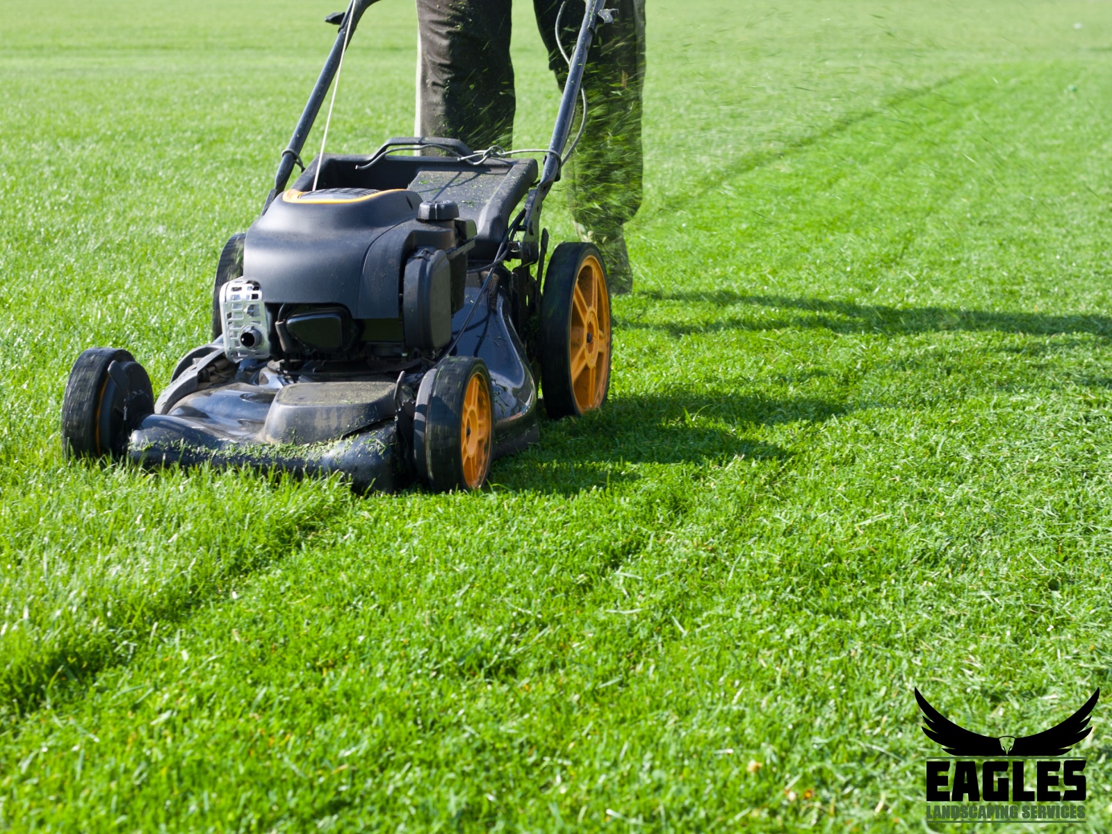Landscaping and Lawn Care Services: Essential Care for Your Property