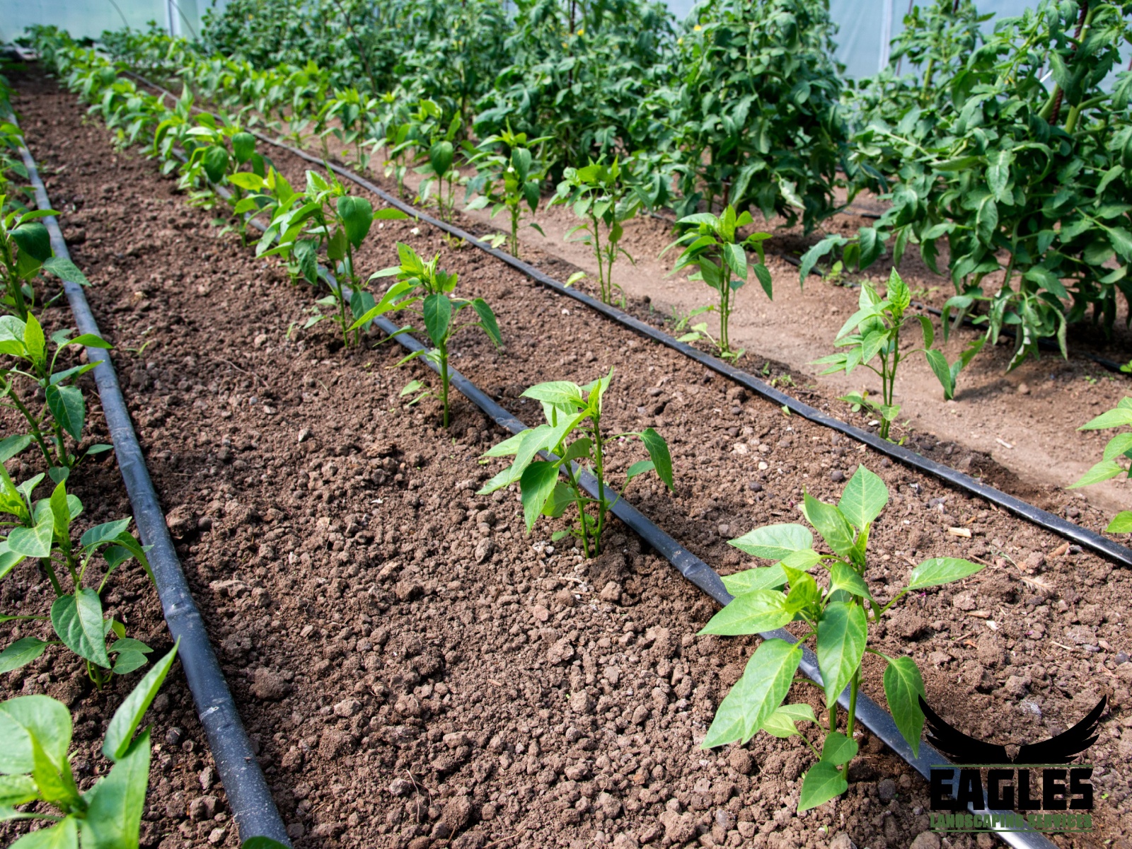 Smarter Sprinkler Systems Start in Spring
