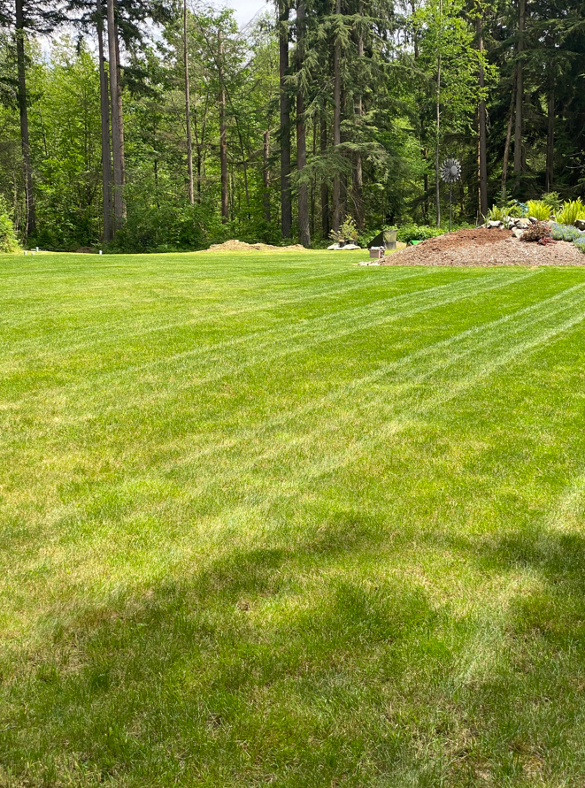 Spring Landscape Timing: When to Shape and Maintain