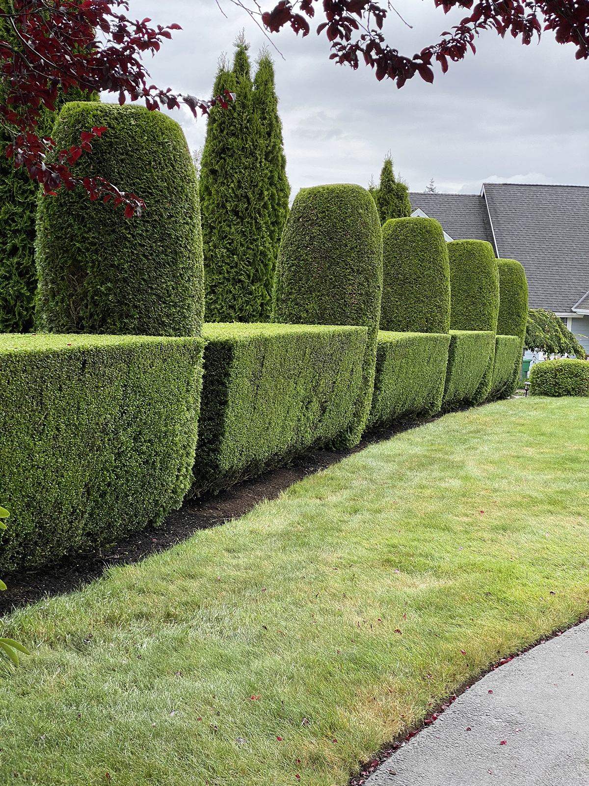 Keep Your Lynnwood Lawn Healthy Without Overworking It